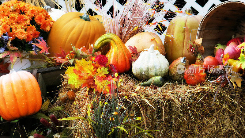 Fall Harvest Display of Mums, Gourds, Hay, Pumpkins and Grasses
